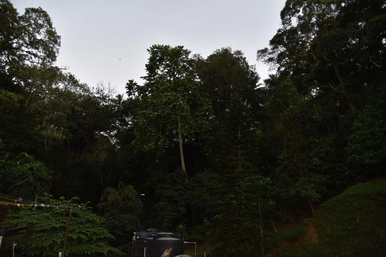 Lodge In 611 Kandy Bagian luar foto